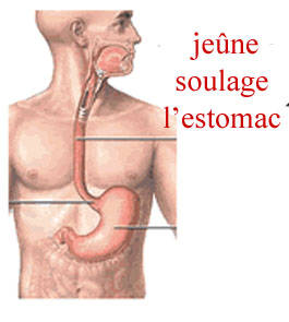 Le jeûne soulage l’estomac