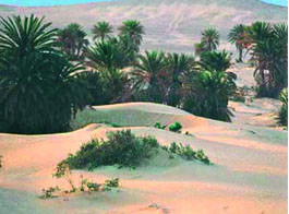 Réunion de La tribu de Qoraych à Daar An-Nadwah