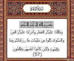 ولكن أنفسهم يظلمون