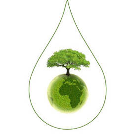 Ecologie et valeurs islamiques – I