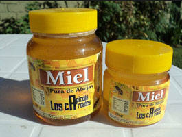 Le miel : médicament pour le ventre 