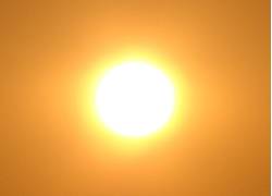 Les sept  qui seront sous  l’ombre d’Allah le Tout Puissant – I