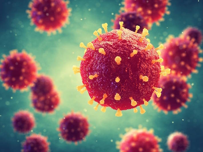 Le journal News Week met en avant les enseignements prophétiques concernant l’épidémie