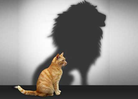 Sch&auml;tze dich nicht gering