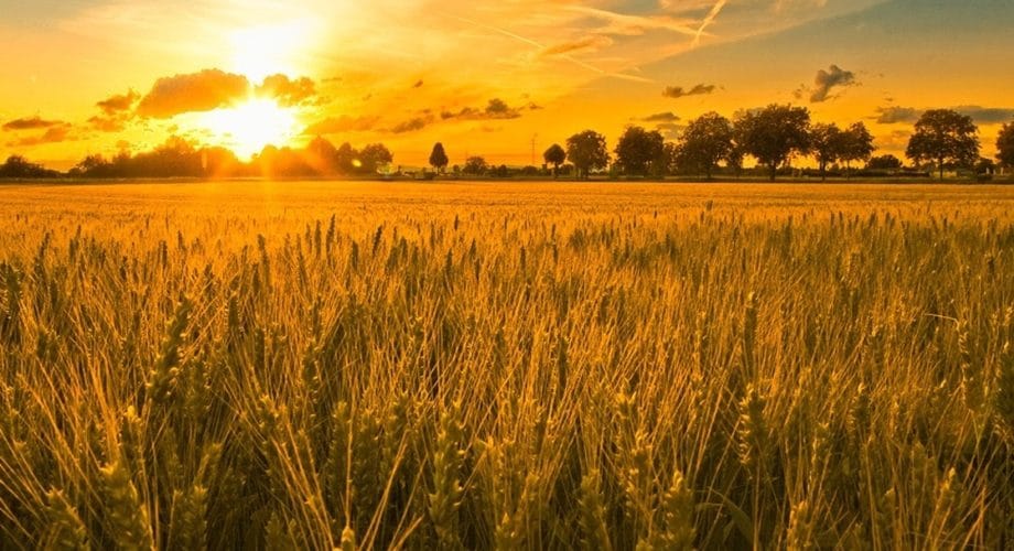 Prémices et annonces de la prophétie et de la révélation