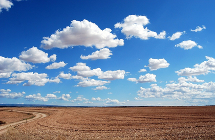 Bew&auml;ssere den Garten