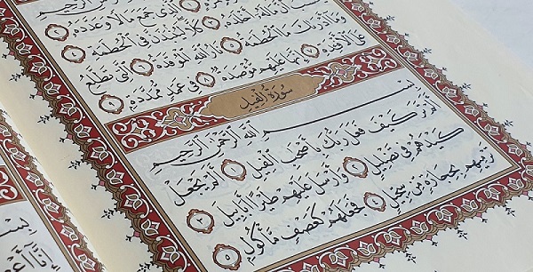 Sourate l’éléphant (1)