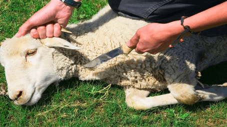 النَذْرُ لغَيْر اللهِ شِرْك