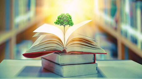 الثقافة الإسلامية: الجذور والملامح العامة