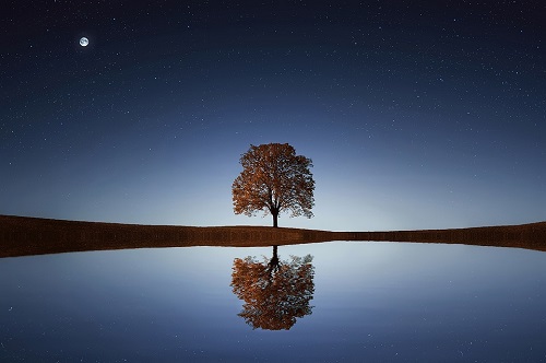 Réflexions sur l