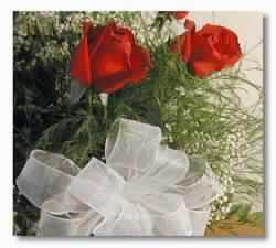 ولكـُـنَّ في أسماء .. عبـرة