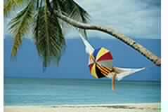 خواطر حول الإجازة الصيفية