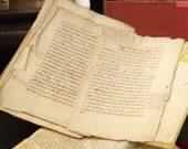 صحيفة المدينة