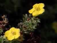  تزوج .. وعش سعيداً!!!