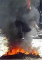 Latest Incursion into  Jenin & Bush Invites Sharon to Washington After Talks With Mubarak of Egypt