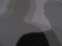 Western Muslim women and the CIA 