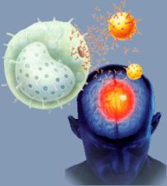 L’Islam a été précurseur dans la santé psychologique.