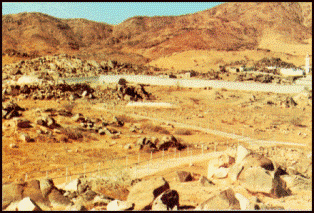 Les enseignements tirés de la Bataille de Badr