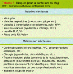 Vaccinations spéciales du pèlerin