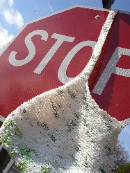Ingérence des belles-mères  dans la vie conjugale 