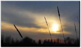 La diff�rence entre l