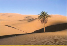 Tayammoum (Ablution sèche) 
