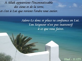 La sagesse du Créateur