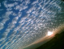 Warum z�gern wir die Reue hinaus? -  Teil 2