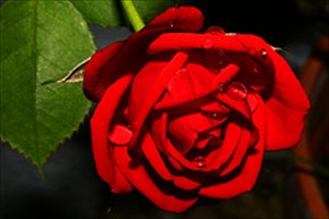 Mujeres musulmanas que ense&ntilde;aron a sus esposos: F&aacute;tima Bint Al Mundhir