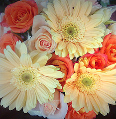 &iquest;C&oacute;mo relacionarnos con nuestros familiares que no son musulmanes? (Parte II)