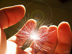 La adolescencia requiere comprensi&oacute;n