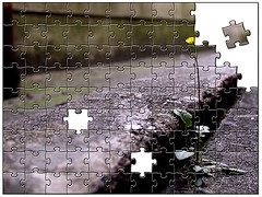 El trato a los dem&aacute;s: Imitaci&oacute;n o aprendizaje