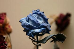 El esposo cr&iacute;tico (Parte I)