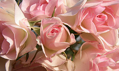 Las esposas del Profeta Muhammad, an&aacute;lisis II