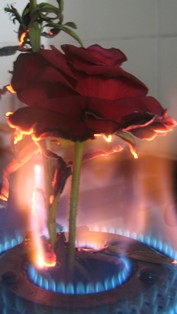 La actitud del musulm&aacute;n respecto a San Valent&iacute;n