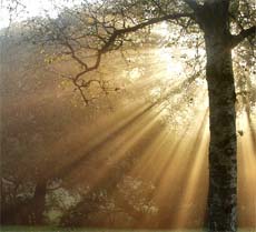 Los art&iacute;culos de fe