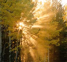 Los &Aacute;ngeles - II