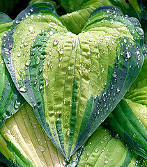 Principios educativos del Profeta (Parte 2)