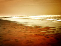 Lo que dice el Cor&aacute;n sobre el olvido: Consecuencias de no ser veraz