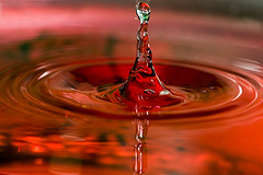 La emigraci&oacute;n del Profeta a Medina (Parte 1)