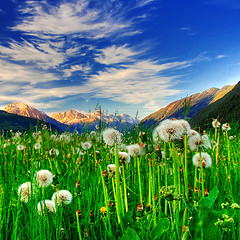 Bienestar f&iacute;sico y espiritual a través del ayuno